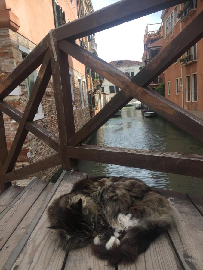 Mori 3, In Centro Storico Di Venezia Leilighet Eksteriør bilde